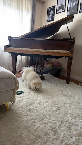 Piano Removals London — Customer photo