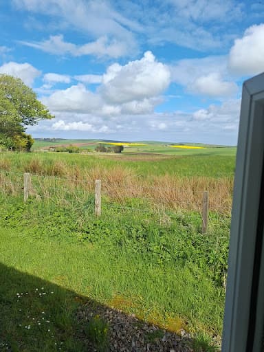 AGB Removals Ltd — Customer photo