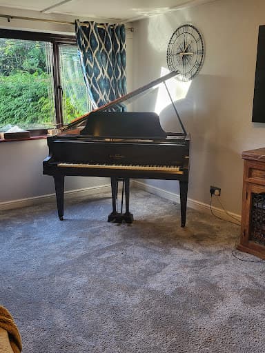 Expert Piano Removals — Customer photo
