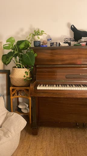 Professional Piano Movers — Customer photo