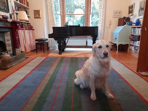 Expert Piano Removals — Customer photo