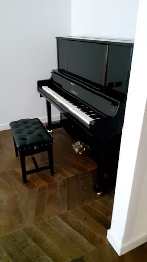 Professional Piano Movers — Customer photo
