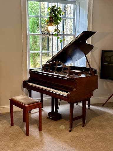 PIANOSPEED — Customer photo