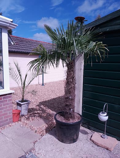 Hintz Removals Bournemouth Man and Van — Customer photo
